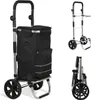Izrielar 3in1 Einkaufstrolley 51L bis 50 kg klappbar Produktbild-Vorschau 10