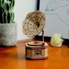 A wooden model of a gramophone is displayed on a wooden surface, with a potted cactus and a white rose in the background. Podgląd zdjęcia produktu