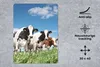 MuchoWow® Mauspad Mousepad Kühe - Landleben - Weide - Natur Produktbild-Vorschau 2