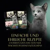 SHEBA Kitten Selection of Flavours in Sauce - Nassfutter Produktbild-Vorschau 3
