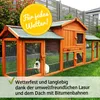 zooprinz Hasenstall Kaninchenstall Modell XXL | mit Produktbild-Vorschau 7