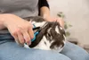 Trixie gezichts- en pootschaar 9 cm Productafbeelding-voorbeeld 5