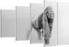 Bild auf Leinwand - Leinwandbild - Orang-Utan Tier - Produktbild-Vorschau 1