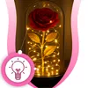 Rose éternelle en dôme de verre avec lumière LED | Fleur de Voir les images du produit 5