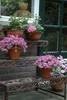 A tiered plant stand with potted pink flowers on a brick surface next to a building. Anteprima dell’immagine prodotto