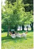 Kerbl Kerbl Filet à volaille vert 50m x 106 cm - 15 perches Voir les images du produit 16