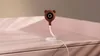 LIONELO Babyphone Babyline Smart Camera Moniteur Wi-Fi, Voir les images du produit 3