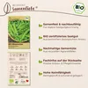 Samenliebe  Erbse Samen | Sima - winterhart & frühe Sorte - Produktbild-Vorschau 3