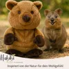 Habibi Peluche Quokka - Peluche riscaldabile in microonde Anteprima dell’immagine prodotto 8