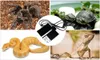 A collage of images showing different reptiles and a heating mat for terrariums. Anteprima dell’immagine prodotto