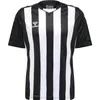 Hummel hmlCORE XK STRIPED JERSEY S/S KIDS Produktbild-Vorschau 7