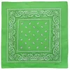 Bandana Paisley Gruen Produktbild-Vorschau 2