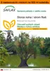 SAFLAX Garden in the bag - Slonia noha / strom fliaš - Náhľad obrázku produktu 1