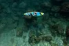 Bestway® Hydro Force® SUP Touring Board-Set Aqua Excursion™ Produktbild-Vorschau 34