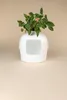 Bac à litière Flower XXL, toilettes cachées pour chats Voir les images du produit 9
