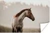 MuchoWow® Poster Pferd - Nebel - Natur 90x60 cm - Produktbild-Vorschau 1
