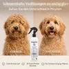 Biogance BGXLD Honden Spray, Xtra, 250 ml Productafbeelding-voorbeeld 2
