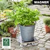 WAGNER Pflanzenroller / Transporthilfe MAXIGRIP 29 x 29 x Produktbild-Vorschau 3