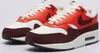 Chaussures Nike Air Max 1 FN6952102 Voir les images du produit 16