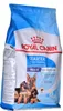 ROYAL CANIN SHN MAXI STARTER M&B 4Kg - per cani di razza Anteprima dell’immagine prodotto 1