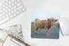 MuchoWow® Mauspad Mousepad Scottish Highlander - Straße - Produktbild-Vorschau 5