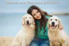 Welpenfreigehege YOUNG DOGS Größe L Welpenauslauf Produktbild-Vorschau 8