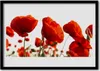 Bild 100x70 MDF-Rahmen Wandkunst Die Pflanze Mohn Natur Produktbild-Vorschau 1