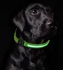 LED Hundehalsband in Größe L in Grün mit Akku und Produktbild-Vorschau 2