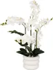 Künstliche orchidee im topf "mick" keramiktopf weiß h80cm  Produktbild-Vorschau 1