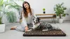 A woman is sitting on the floor next to her dog, who is lying on a dog bed. The scene is indoors, with plants and furniture in the background. Náhled obrázku produktu