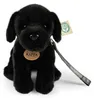 Pluszowy pies labrador, czarny, z obrożą i smyczką, 25 cm. Podgląd zdjęcia produktu 1