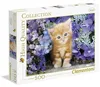 Puzzle 500 HQC Chat roux 30415 Voir les images du produit 10