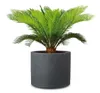 Scheurich Panzano 50, Pflanzgefäß/Blumentopf/Pflanzkübel, Produktbild-Vorschau 3