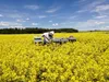 Echter Deutscher Honig - 6 Gläser - Set aus je 2x 500g Produktbild-Vorschau 3