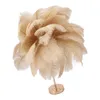 A close-up studio shot of a feather table lamp. Voir les images du produit