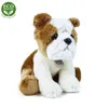 Bulldoggen-Plüschhund 26 cm UMWELTFREUNDLICH Produktbild-Vorschau 8