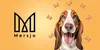 A dog is shown with dog treats falling around it, next to a logo and brand name. Anteprima dell’immagine prodotto