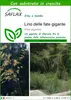 SAFLAX  - Lino delle fate gigante - 10 semi - Con substrato Anteprima dell’immagine prodotto 1