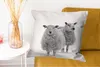 MuchoWow® Zierkissen Sofakissen Wohnzimmer Dekokissen 60x60 Produktbild-Vorschau 6