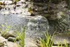 system pomp solarnych esotec Water Splash 1350 Podgląd zdjęcia produktu 5