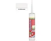 Mapei Mapesil Ac 111 Silikonversiegelung Produktbild-Vorschau 5