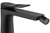 A black bidet faucet is shown against a white background. Produktbild-Vorschau