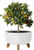 Vaso rotondo su gambe bianco Gracia Low DGRL300L-S449 Anteprima dell’immagine prodotto 3