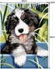 Maaleo 22780 Maľovanie podľa čísel 40 x 30 cm Náhľad obrázku produktu 8