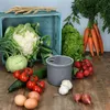 A collection of fresh vegetables and eggs arranged on a wooden surface, with a blue crate in the background. Produktbild-Vorschau
