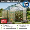 BRAST Gewächshaus Aluminium mit Fundament | 380x250x235cm | Produktbild-Vorschau 8