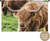 MuchoWow® Wandteppich Wandbehang Schottische Hochlandrind - Produktbild-Vorschau 1
