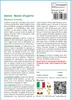 SAFLAX Insieme di coltivazione - Glicine - 4 semi - Anteprima dell’immagine prodotto 3