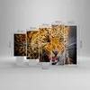 Bild auf Leinwand - Leinwandbild - Leopard tier savanne Produktbild-Vorschau 3