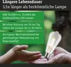 Paulmann Eco-Line Filament 230V LED Kolben Produktbild-Vorschau 4